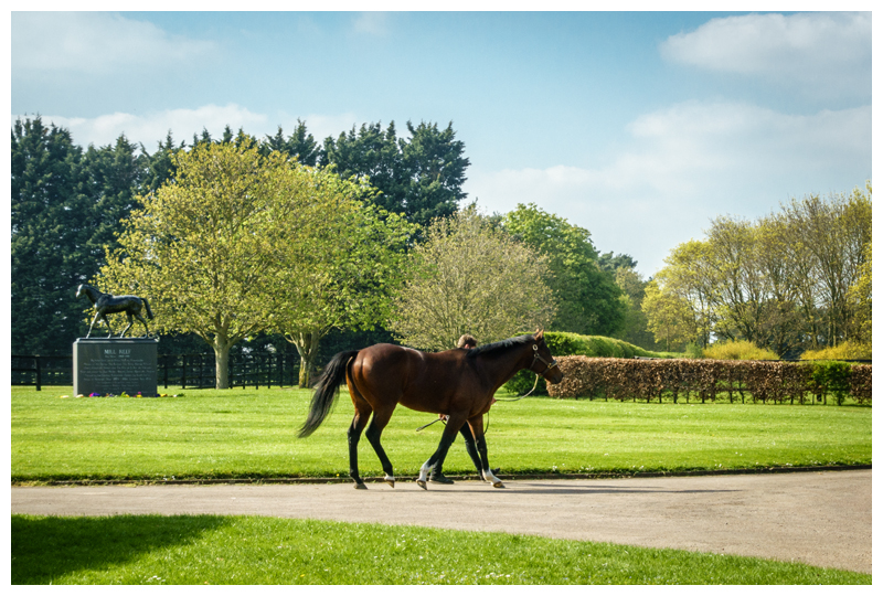Newmarket National Stud April